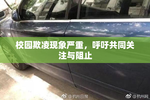校园欺凌现象严重，呼吁共同关注与阻止