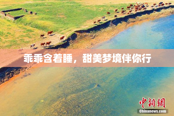 乖乖含着睡，甜美梦境伴你行