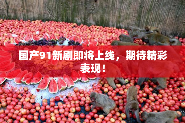 国产91新剧即将上线，期待精彩表现！