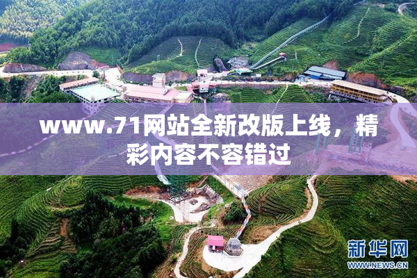 www.71网站全新改版上线，精彩内容不容错过