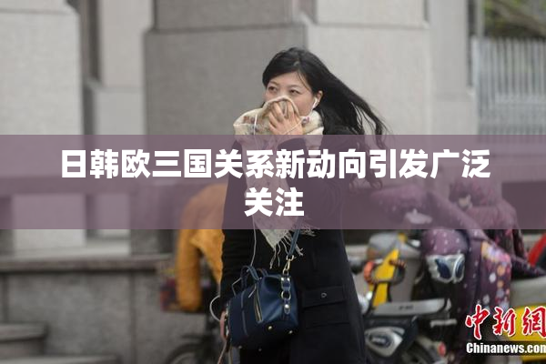 日韩欧三国关系新动向引发广泛关注