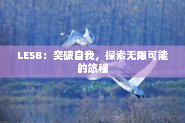 LESB：突破自我，探索无限可能的旅程