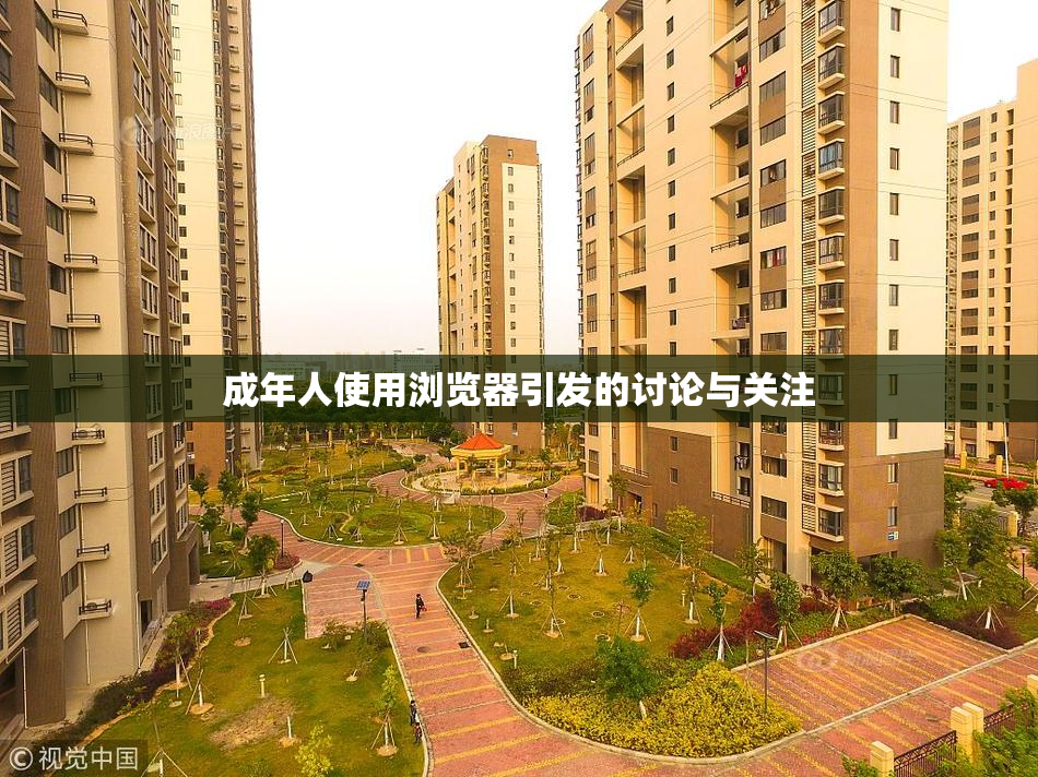 成年人使用浏览器引发的讨论与关注