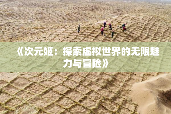 《次元姬：探索虚拟世界的无限魅力与冒险》
