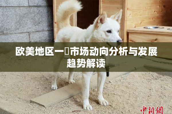 欧美地区一級市场动向分析与发展趋势解读