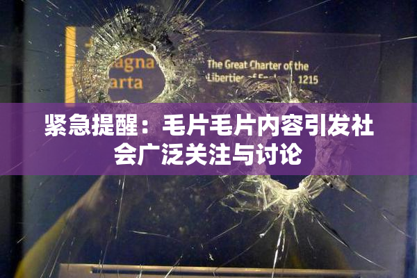 紧急提醒：毛片毛片内容引发社会广泛关注与讨论
