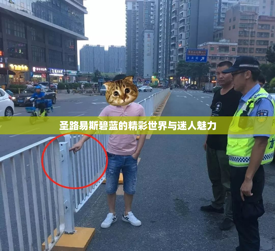 圣路易斯碧蓝的精彩世界与迷人魅力