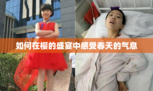 如何在樱的盛宴中感受春天的气息