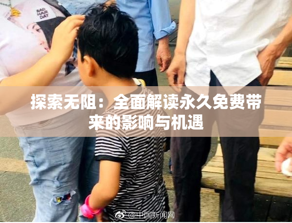 探索无阻：全面解读永久免费带来的影响与机遇