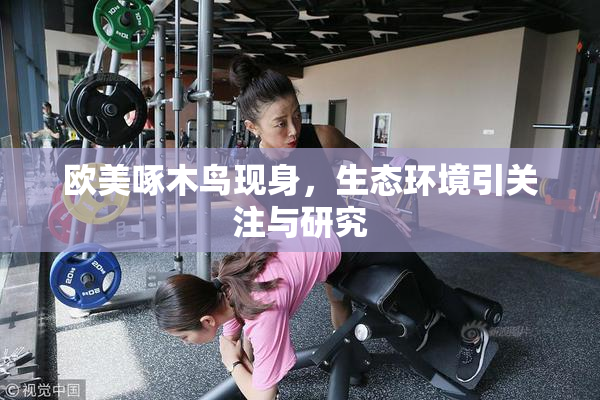 欧美啄木鸟现身，生态环境引关注与研究