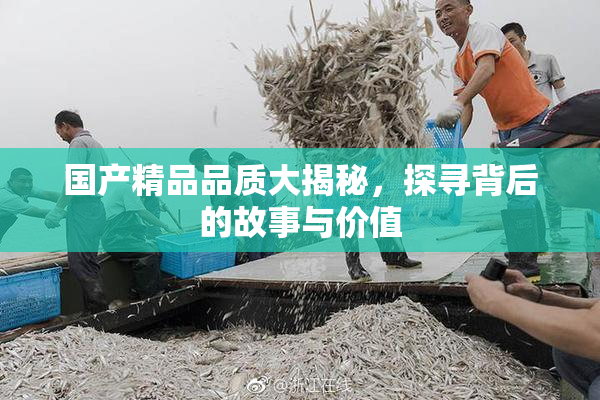 国产精品品质大揭秘，探寻背后的故事与价值