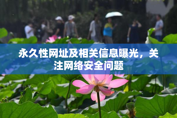 永久性网址及相关信息曝光，关注网络安全问题