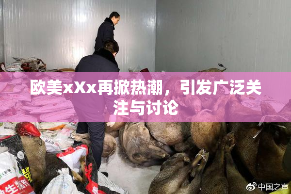欧美xXx再掀热潮，引发广泛关注与讨论