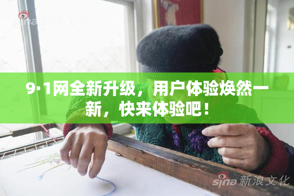 9·1网全新升级，用户体验焕然一新，快来体验吧！