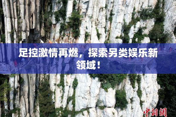 足控激情再燃，探索另类娱乐新领域！