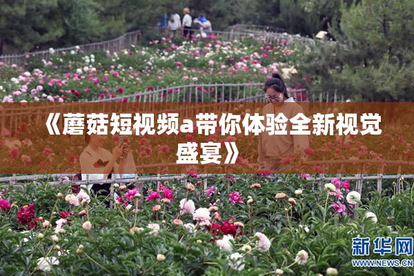 《蘑菇短视频a带你体验全新视觉盛宴》