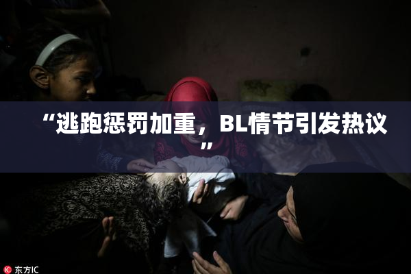 “逃跑惩罚加重，BL情节引发热议”