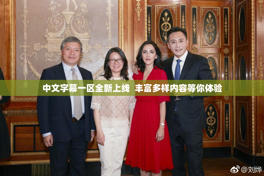 中文字幕一区全新上线  丰富多样内容等你体验