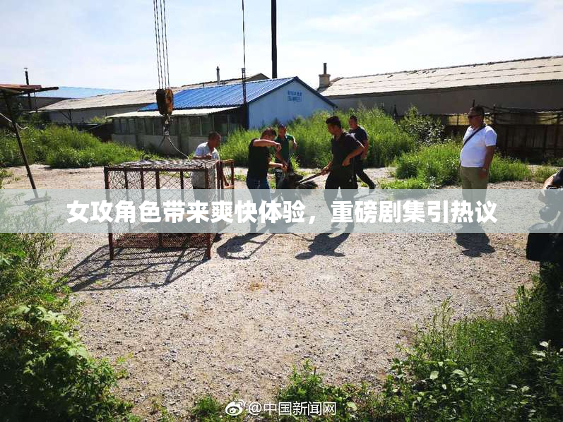 女攻角色带来爽快体验，重磅剧集引热议