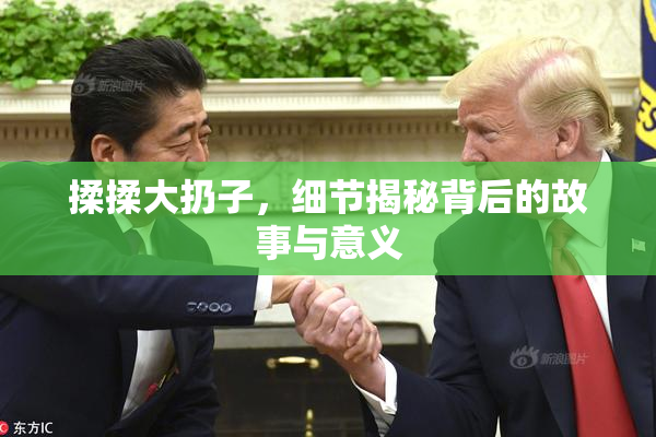 揉揉大扔子，细节揭秘背后的故事与意义