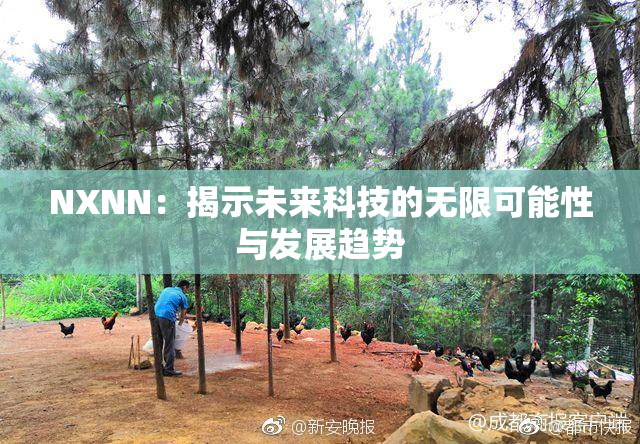NXNN：揭示未来科技的无限可能性与发展趋势