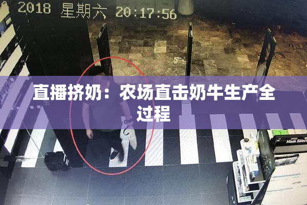 直播挤奶：农场直击奶牛生产全过程
