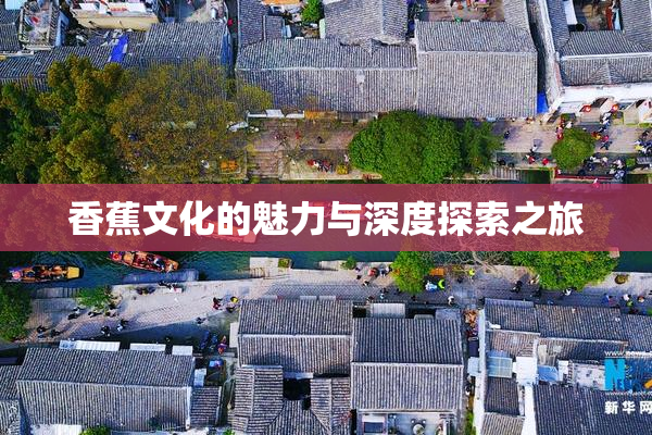香蕉文化的魅力与深度探索之旅