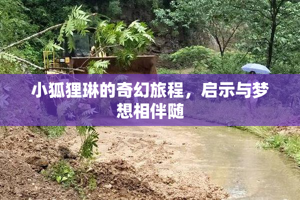 小狐狸琳的奇幻旅程，启示与梦想相伴随