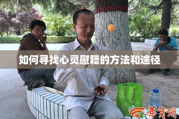 如何寻找心灵慰藉的方法和途径