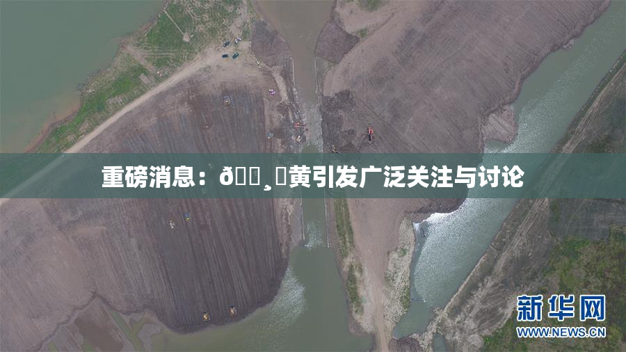 重磅消息：🌸‌黄引发广泛关注与讨论