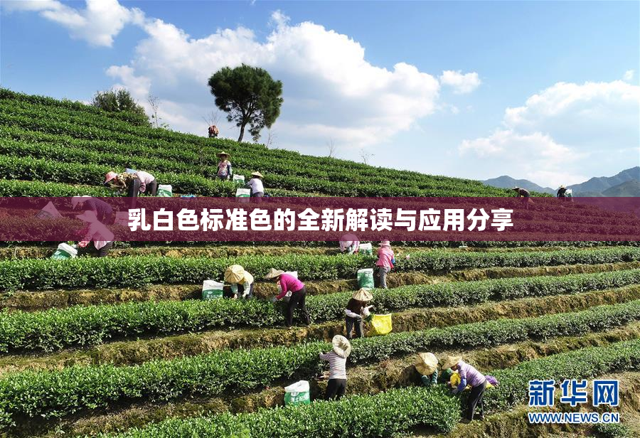 乳白色标准色的全新解读与应用分享