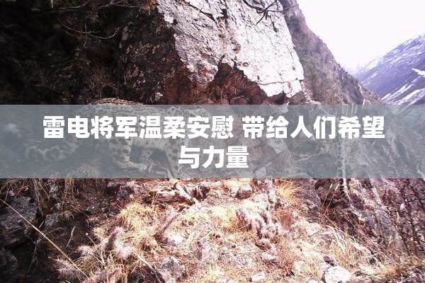 雷电将军温柔安慰 带给人们希望与力量