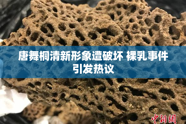 唐舞桐清新形象遭破坏 裸乳事件引发热议