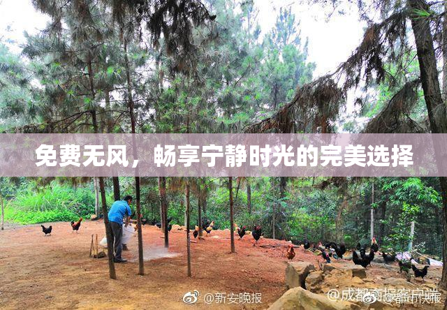 免费无风，畅享宁静时光的完美选择