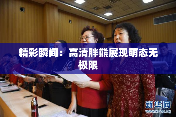 精彩瞬间：高清胖熊展现萌态无极限