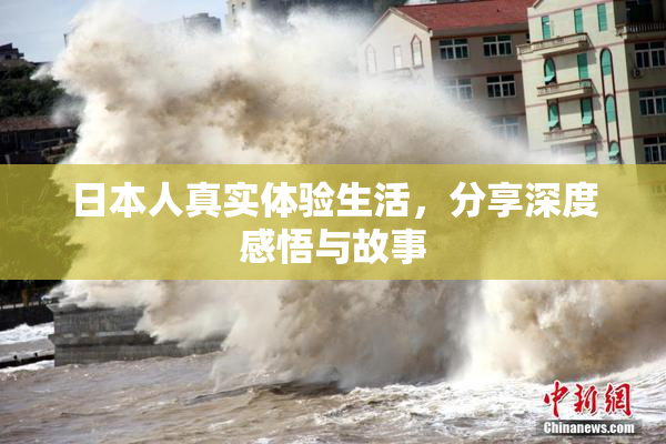 日本人真实体验生活，分享深度感悟与故事