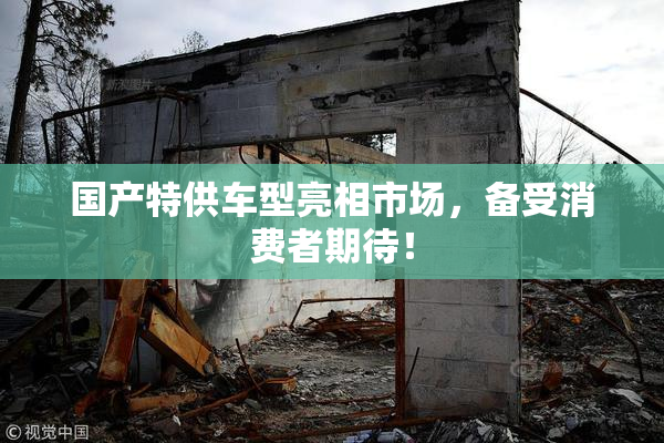 国产特供车型亮相市场，备受消费者期待！