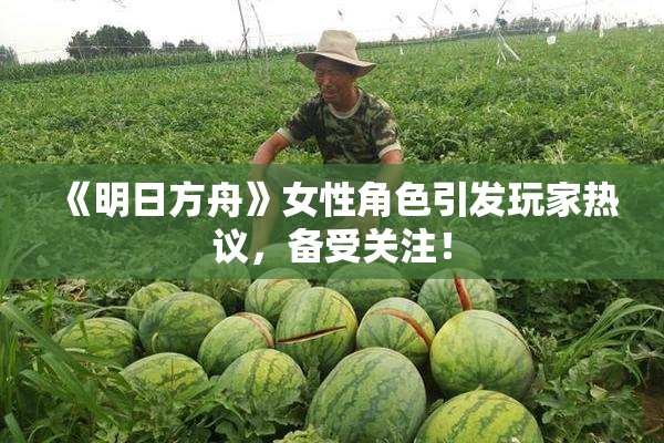 《明日方舟》女性角色引发玩家热议，备受关注！