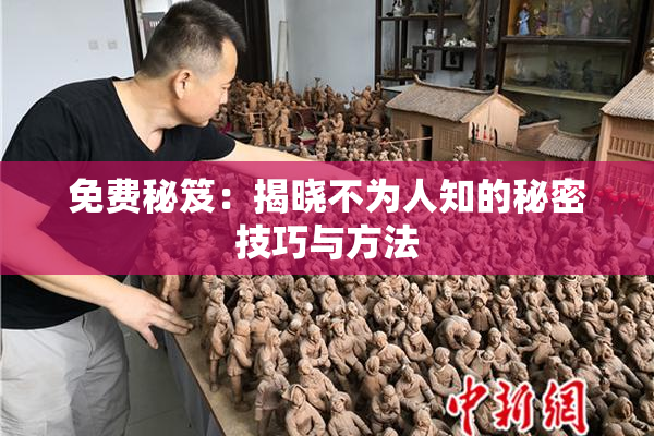 免费秘笈：揭晓不为人知的秘密技巧与方法