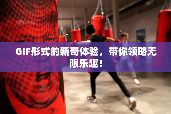 GIF形式的新奇体验，带你领略无限乐趣！