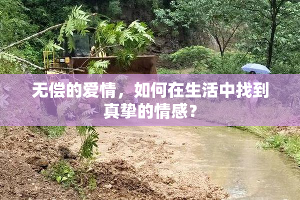 无偿的爱情，如何在生活中找到真挚的情感？