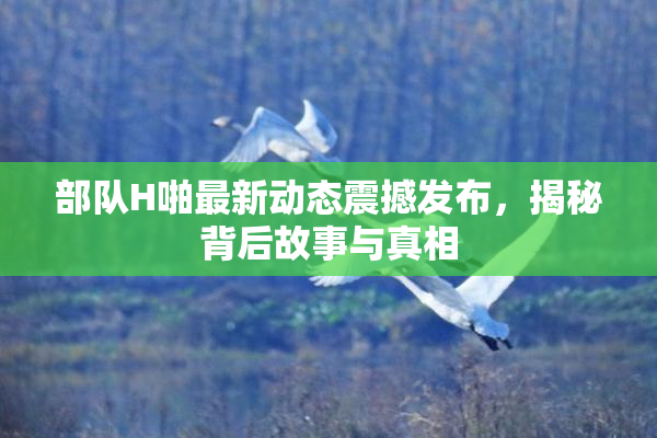 部队H啪最新动态震撼发布，揭秘背后故事与真相