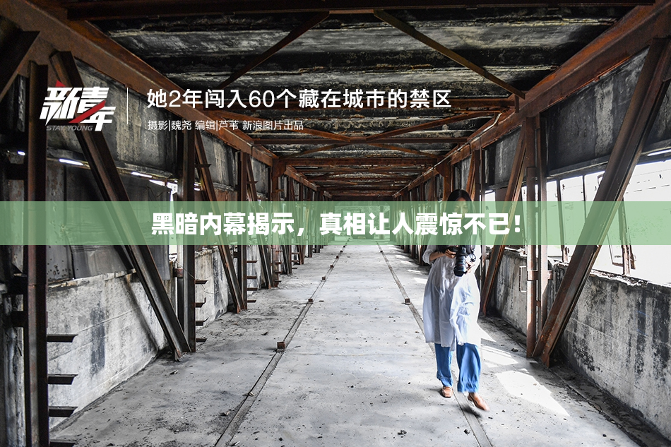 黑暗内幕揭示，真相让人震惊不已！