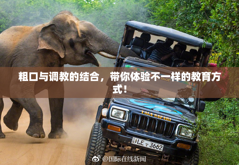 粗口与调教的结合，带你体验不一样的教育方式！