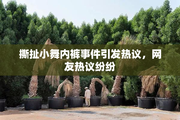 撕扯小舞内裤事件引发热议，网友热议纷纷