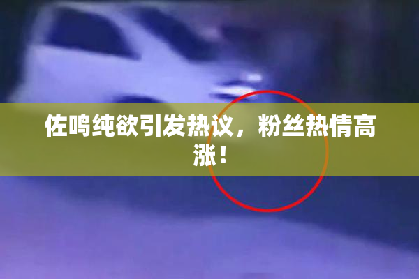 佐鸣纯欲引发热议，粉丝热情高涨！