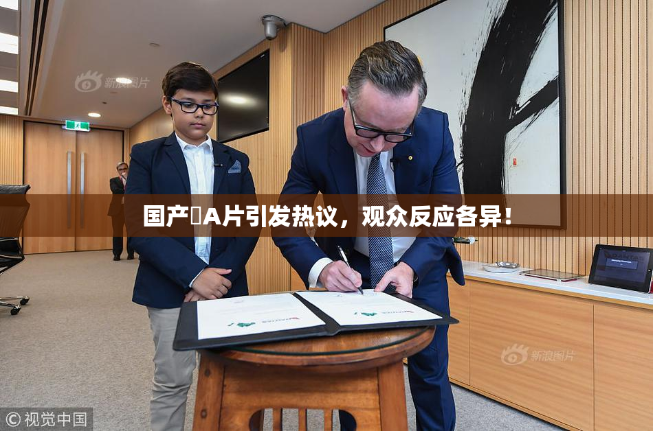 国产婬A片引发热议，观众反应各异！