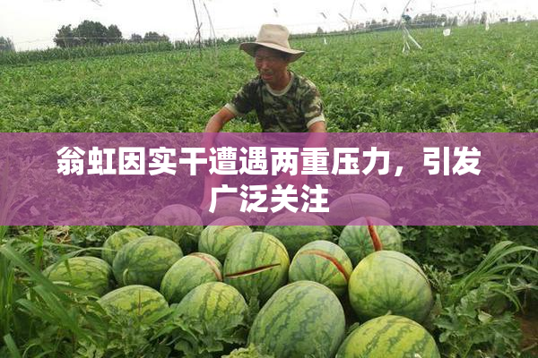 翁虹因实干遭遇两重压力，引发广泛关注