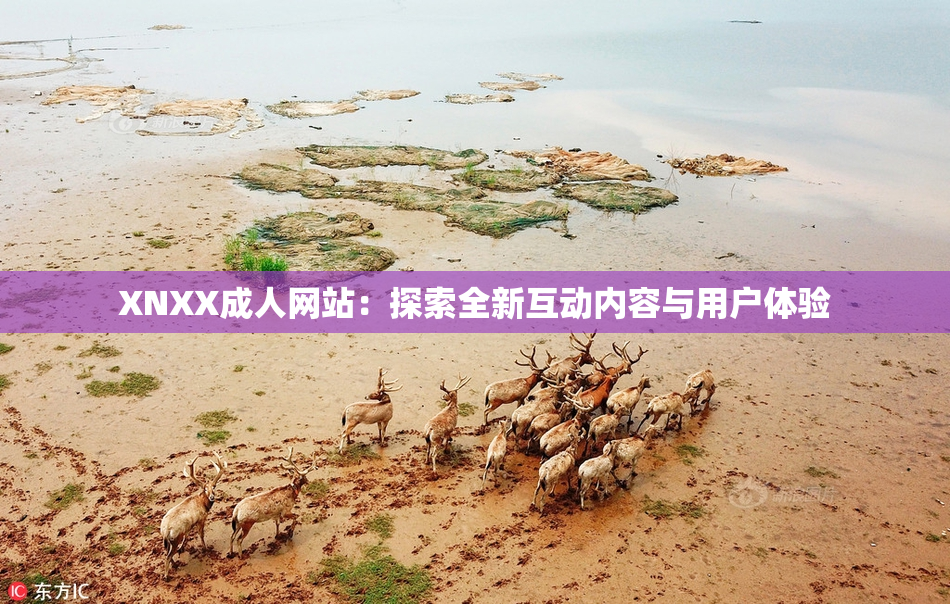 XNXX成人网站：探索全新互动内容与用户体验