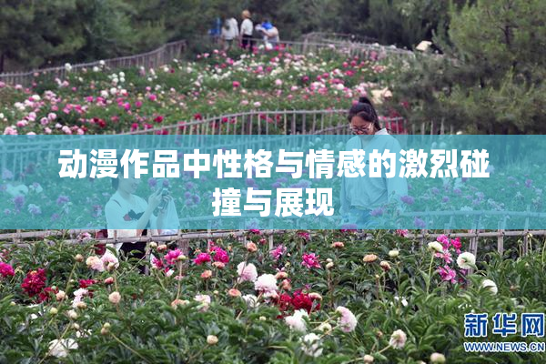 动漫作品中性格与情感的激烈碰撞与展现